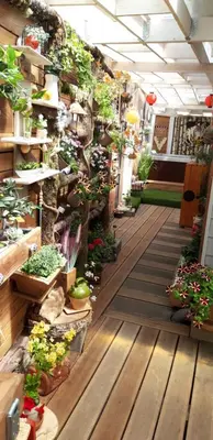 Jardin de l'établissement Loft dans les Vosges idéal 2 personnes