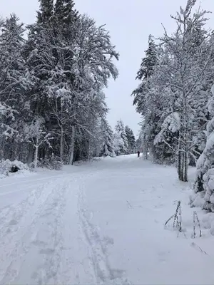 L'établissement Gîte Les Plains Champs en hiver
