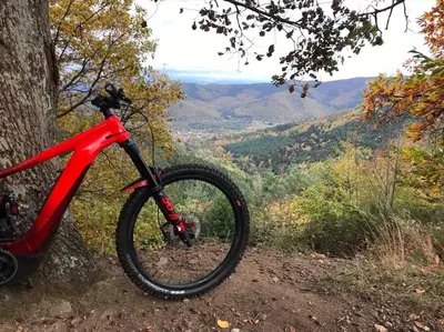 Vélo sur le terrain de l'établissement Gîte Les Plains Champs ou dans les environs
