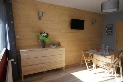 Télévision ou salle de divertissement dans l'établissement Studio au pied des pistes à la Bresse Hohneck