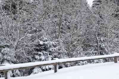 L'établissement Studio au pied des pistes à la Bresse Hohneck en hiver