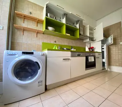 Cuisine ou kitchenette dans l'établissement Appartement Le lion