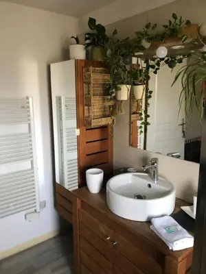 Salle de bains dans l'établissement Côté Rive, au bord de la rivière La Moselotte et terrasse