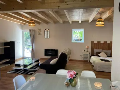 Télévision ou salle de divertissement dans l'établissement Le Noyer: Petit chalet cosy proche de Mulhouse