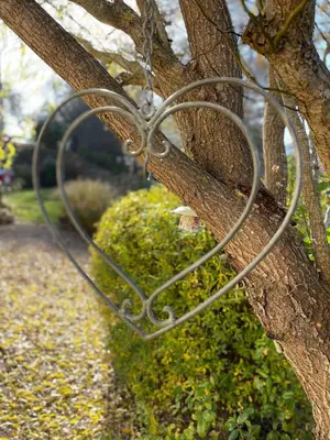 Jardin de l'établissement Le moulin de l Epine