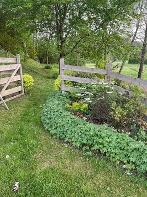 Jardin de l'établissement Le moulin de l Epine