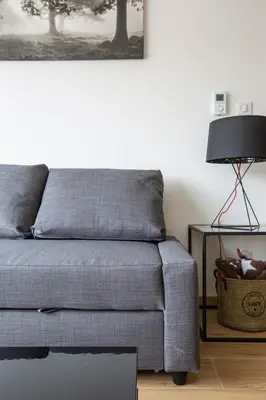 Coin salon dans l'établissement Magnifique 2 pièces, tout équipé, terrasse privée