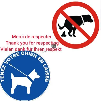 Animal ou animaux domestique(s) séjournant avec des clients dans l'établissement Le Chêne: Petit Chalet cosy proche de Mulhouse