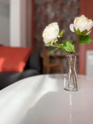 Coin salon dans l'établissement Bel'flora