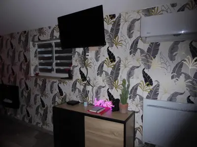 Télévision ou salle de divertissement dans l'établissement Le nid douillet d'Alsace et sa balnéo