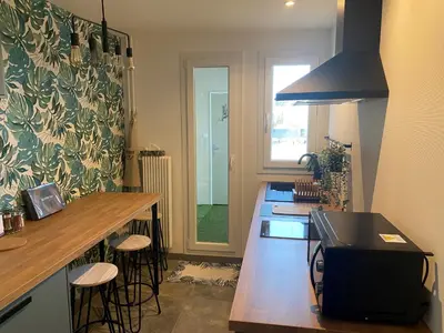 Cuisine ou kitchenette dans l'établissement Magnifique appartement au coeur de Mulhouse