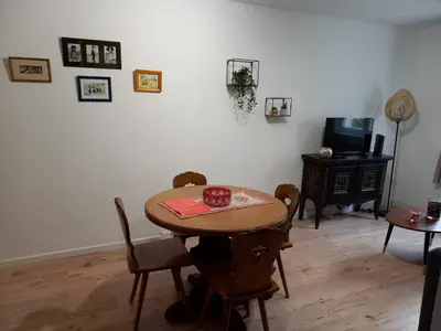 Télévision ou salle de divertissement dans l'établissement LE PASSAGE gîte cocooning à Colmar centre touristique