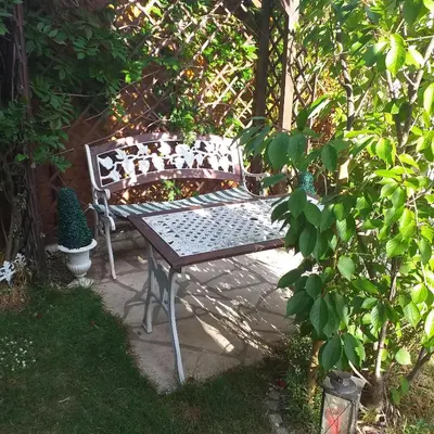 Jardin de l'établissement Studio Colmar avec jardin privatif