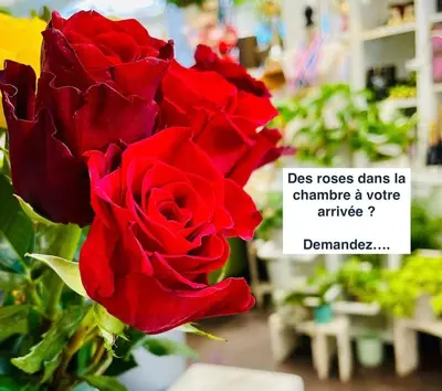 Plan de l'établissement SPA Romantique ... Esprit LOVE