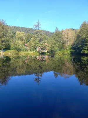 Paysage naturel près de la maison de vacances
