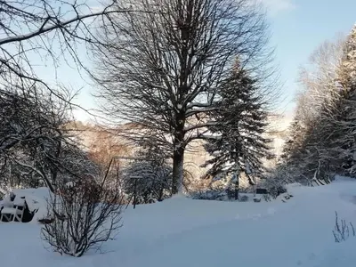 L'établissement Le logis aux digitales en hiver