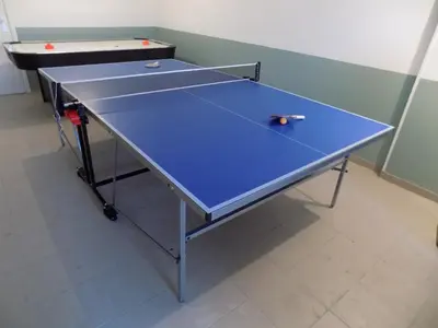 Tennis de table au sein de l'établissement Le Chalet des Vosges ou à proximité
