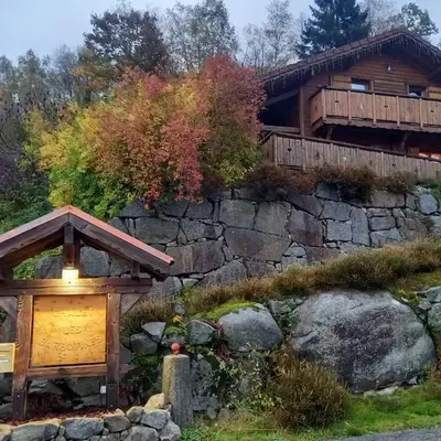 Chalet Typique Vosgien 