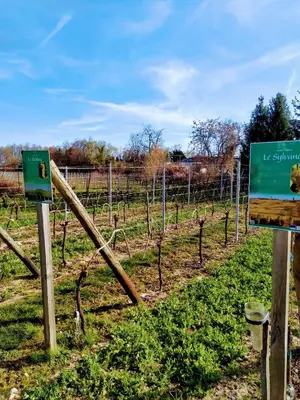 Plan de l'établissement Alsace Appartements Meyer-Krumb