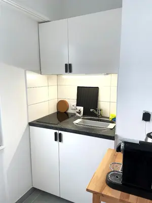 Cuisine ou kitchenette dans l'établissement Superbe Studio, Hyper Center Tram3 by Basel& Airport, CH/DE/FR