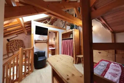 Télévision ou salle de divertissement dans l'établissement Le Bucheron au cœur du massif des Vosges 3 étoiles