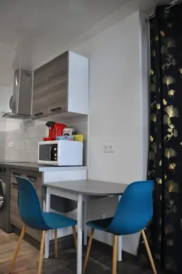 Cuisine ou kitchenette dans l'établissement Le Studio du Tanneur Selestadien
