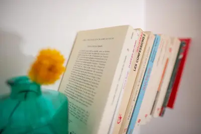 Bibliothèque dans l'appartement