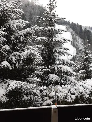 L'établissement Appartement a la montagne ,vue sur les pistes en hiver