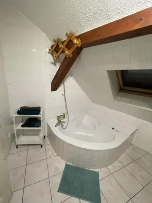 Salle de bains dans l'établissement Colmar charmant logement