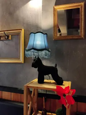 Animal ou animaux domestique(s) séjournant avec des clients dans l'établissement Hôtel Influences La Bresse