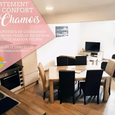 ⁂⁂ LE CHAMOIS Appartement [CLEDICIHOME] / Magnifique vue sur les montagnes / 4 KMs DE GERARDMER ! ⁂⁂