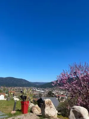 Vue générale sur la montagne ou vue sur la montagne depuis l'appartement