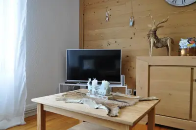 Télévision ou salle de divertissement dans l'établissement Cosy appartement La Bresse centre ville