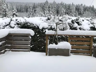 L'établissement Le Grand Sapin. Maison au calme proche commerces en hiver
