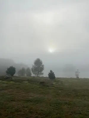 Paysage naturel près de le camping