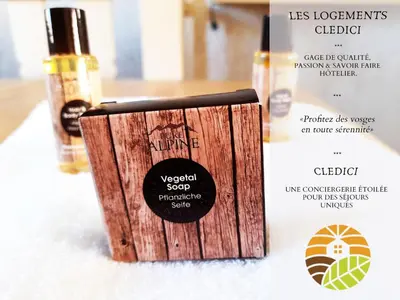 Plan de l'établissement ⁂⁂ LE NID DE PIERRE & JULIE [CLEDICIHOME] 2 pas du centre ville / SPA & TERASSE AMENAGEE ⁂⁂