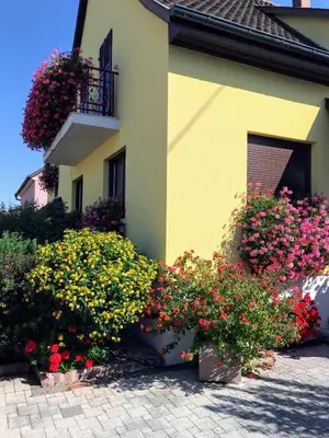 Jardin de l'établissement ALSACE Gîte 3étoiles climatisé prox Colmar, Eguisheim, parking, jardin
