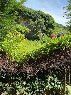 Paysage naturel près de l'appartement