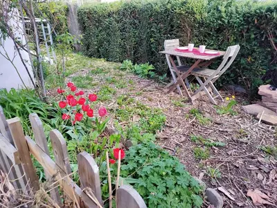 Jardin de l'établissement Les coquelicots, calme, jardin