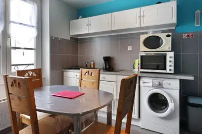 Cuisine ou kitchenette dans l'établissement Appartement Rue du lac