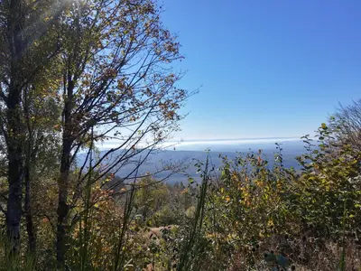 Paysage naturel près de l'appartement