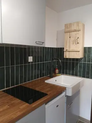 Cuisine ou kitchenette dans l'établissement Le Petit Astro parking privé