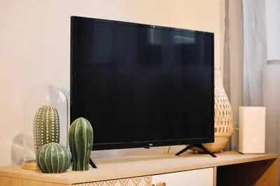 Télévision ou salle de divertissement dans l'établissement NEW Le Cocon Des Humanistes