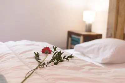 Un ou plusieurs lits dans un hébergement de l'établissement La Désirade Incroyable lodge typique dans les Vosges du Sud