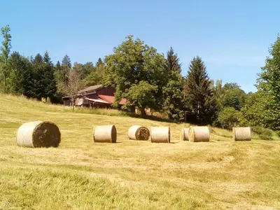 Paysage naturel près de l'appartement