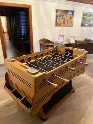 Billard dans l'établissement La Ferme des 3 lacs