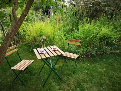 Jardin de l'établissement Colmar Friends and Familly guest home - ALL INCLUSIVE - COLMAR Gare - Jardin - Combles et Vous