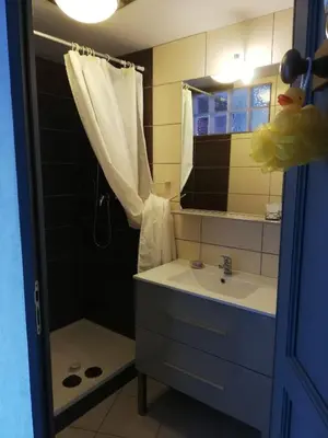Salle de bains dans l'établissement l'antre du Sorcier (inspiré du monde Harry Potter)