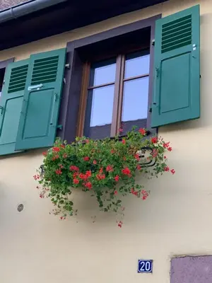 Bâtiment de l'appartement