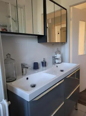 Salle de bains dans l'établissement Appartement Au Cigogneau Wifi-Netflix-Balcon-Parking